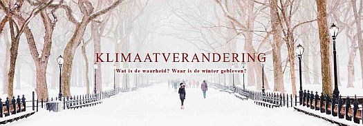 Webdesign Eindhoven